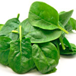 spinach-web