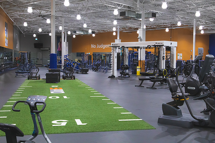 new next turf